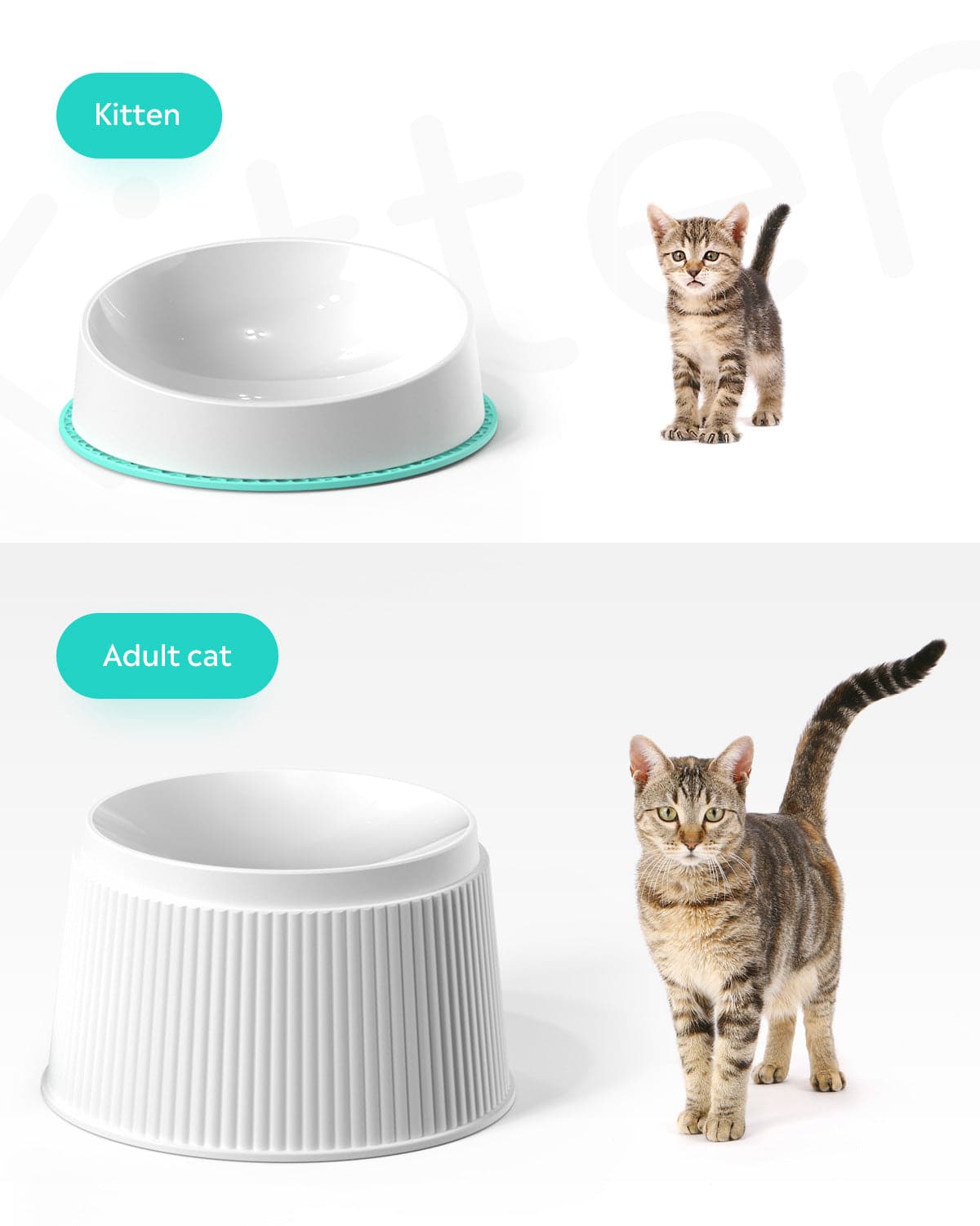 An application scenario or product detail of raised cat water bowl - Image 12
