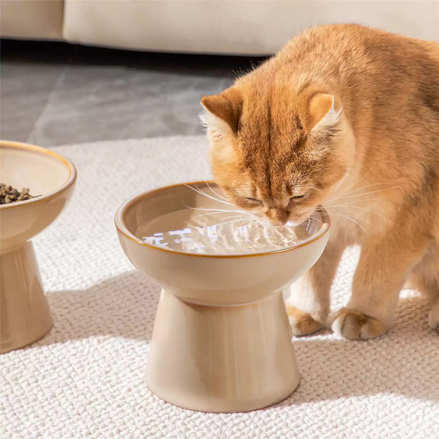 An application scenario or product detail of raised cat water bowl - Image 17
