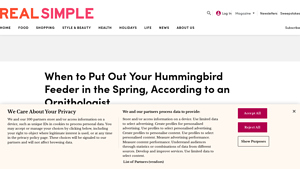 Real Simple - Hummingbird Feeders