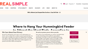 Real Simple - Hummingbird Feeder Tips