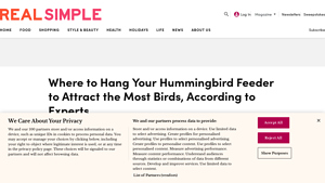 Real Simple - Hummingbird Feeder Tips