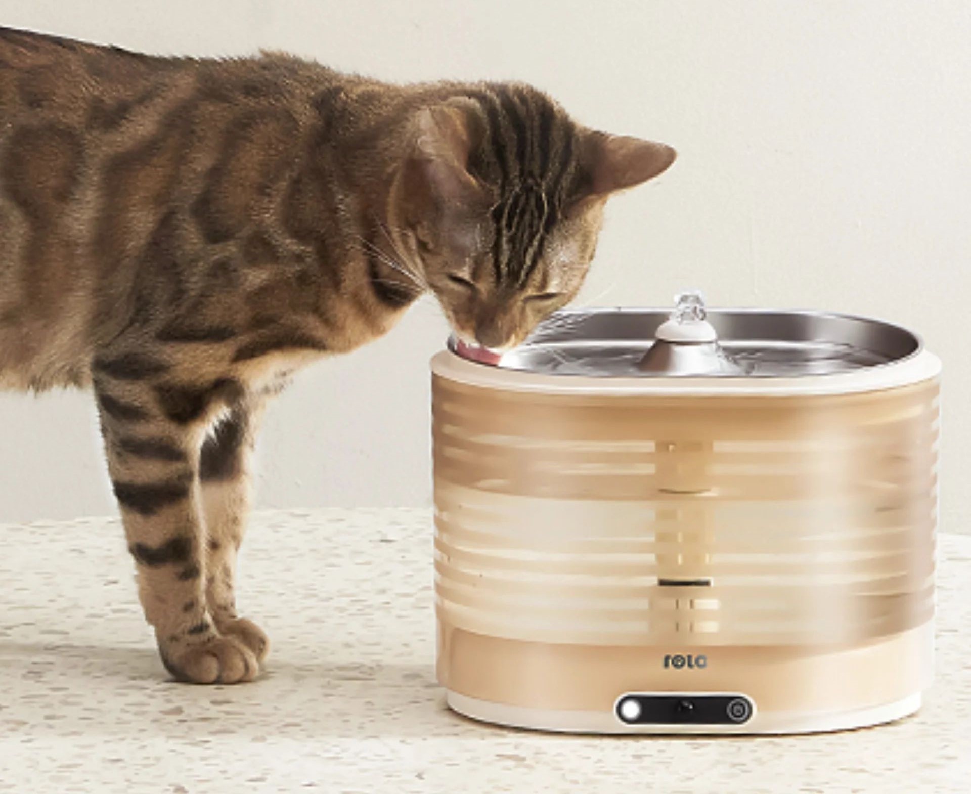 An application scenario or product detail of rechargeable pet water fountain - Image 4