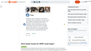 Outward Hound - Small Dog Slow Feeder Bowls