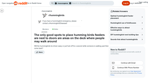 Reddit - Hummingbird Feeder Placement Guide