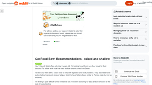 Daiso - Shallow Ceramic Cat Bowls