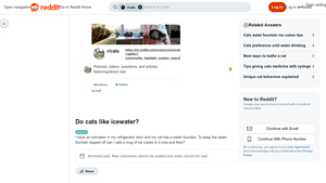 Reddit - Cat Care Tips