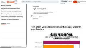 Reddit - Hummingbird Feeder Care