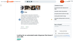 Automated Water Dispenser - Timer-Controlled for Large Dogs