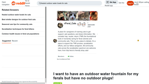 Feral Cat Fountain - Solar-Powered Outdoor Solution