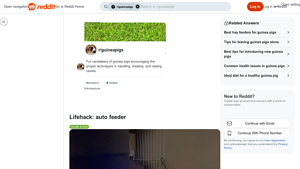 Guinea Pig Auto Feeder - Smart Food Dispenser