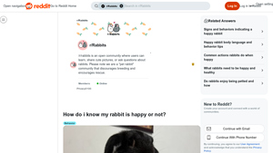 Reddit - Happy Bunnies