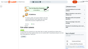 Reddit - Cat Collar Camera