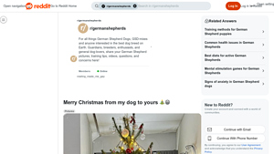 Reddit - Holiday Cheer