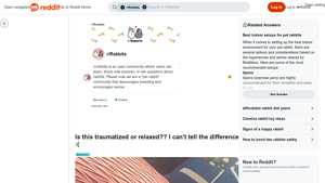 Reddit - Community Engagement