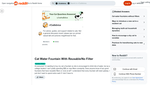 Cat Water Fountain - Budget-Friendly Hydration Solution