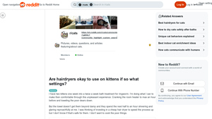 Reddit - Hair Dryer Safety Tips for Kittens