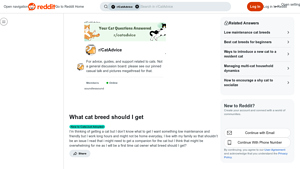 Reddit - Low Maintenance Cat Breeds for First-Time Owners