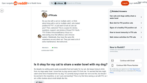 Reddit - FIV Cat Care Tips