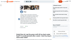 Reddit - Dog Water Bowl Cleaning Tips
