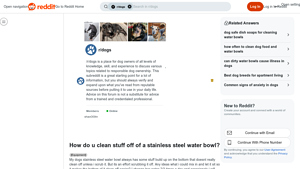 Reddit - Stainless Steel Water Bowl Cleaning Essentials