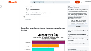 Reddit - Hummingbird Feeder Care