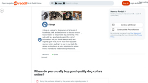 Max & Neo - Reflective Collars