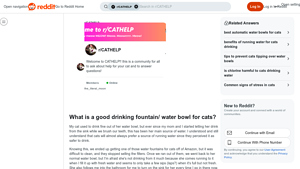 PetSafe - Cat Water Fountain