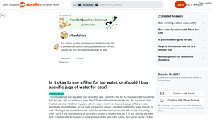Water Filter for Cats - Safety Concerns