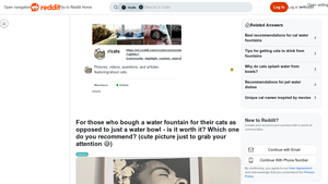 NPET - WF050 Water Fountain