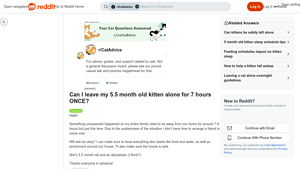 Reddit - Adorable Kitten Care Essentials