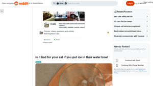 Reddit - Ice Cubes for Cats