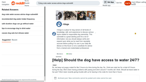 Reddit - Dog Care Insights