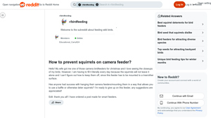 Cole's - Spicy Seed Mix Bird Feeder