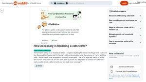 Reddit - Liver Flavoured Toothpaste