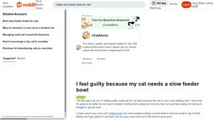 Reddit - Slow Feeder Bowl for Cats
