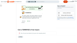 Reddit - Understanding Cat Sensitivity