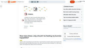 Reddit - Rabbit Care Guidelines