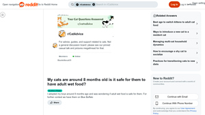 Blue Buffalo - Adult Wet Food Safety for Cats