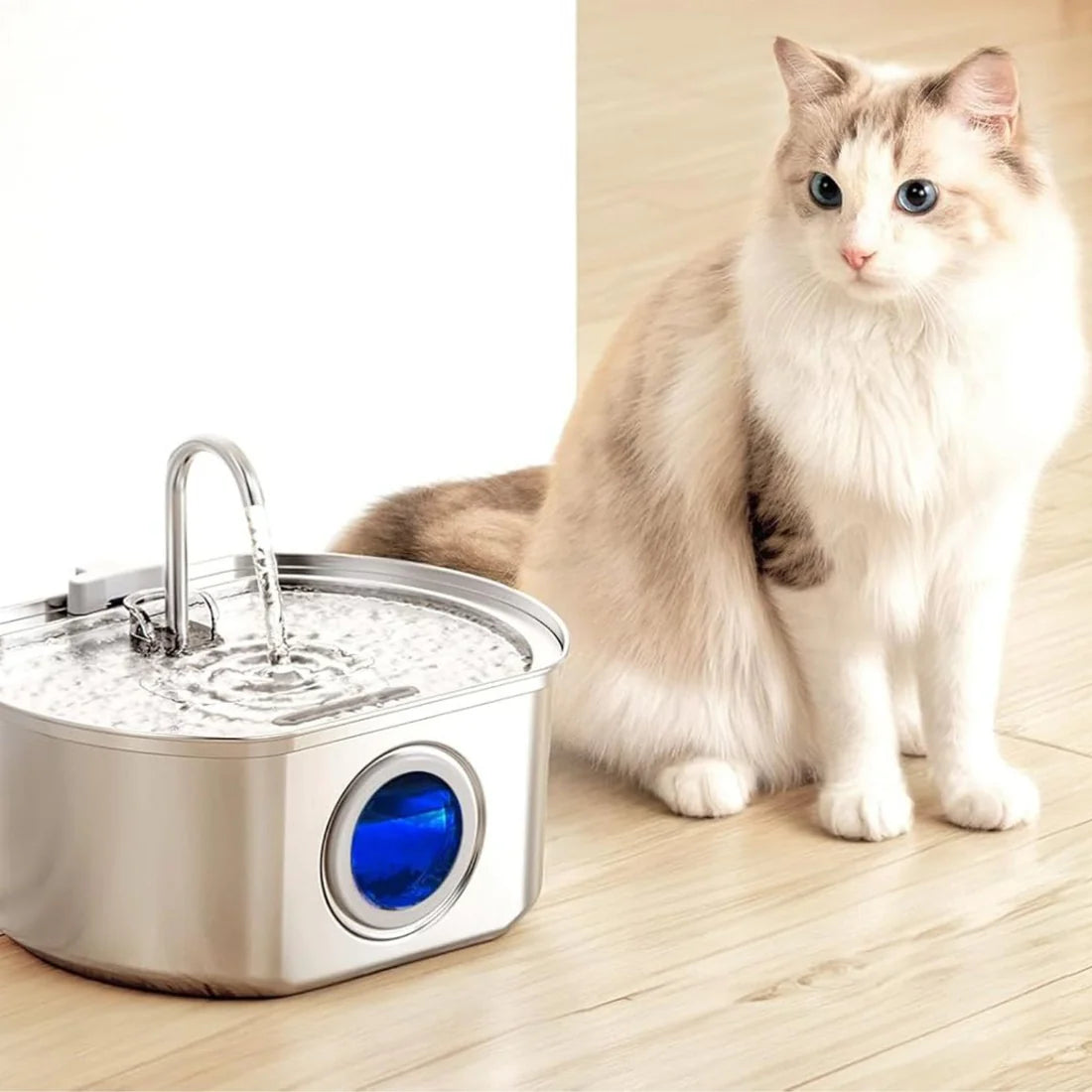 An application scenario or product detail of refrigerated cat water fountain - Image 10