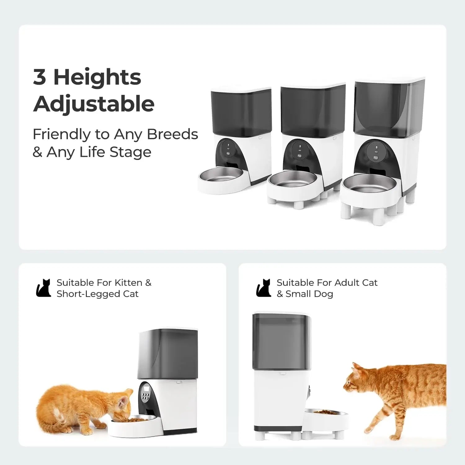 An application scenario or product detail of remote cat feeder - Image 3