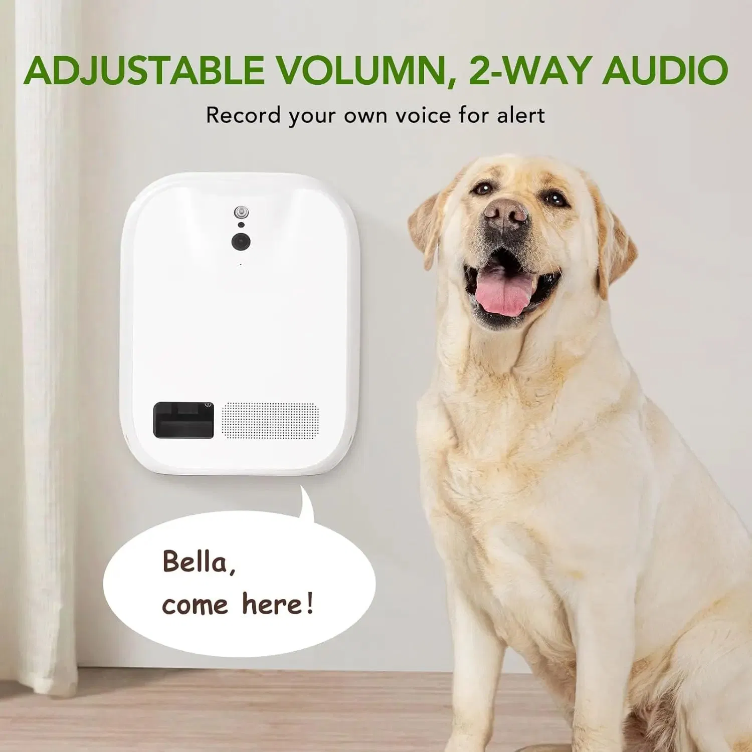 An application scenario or product detail of remote dog feeder - Image 20