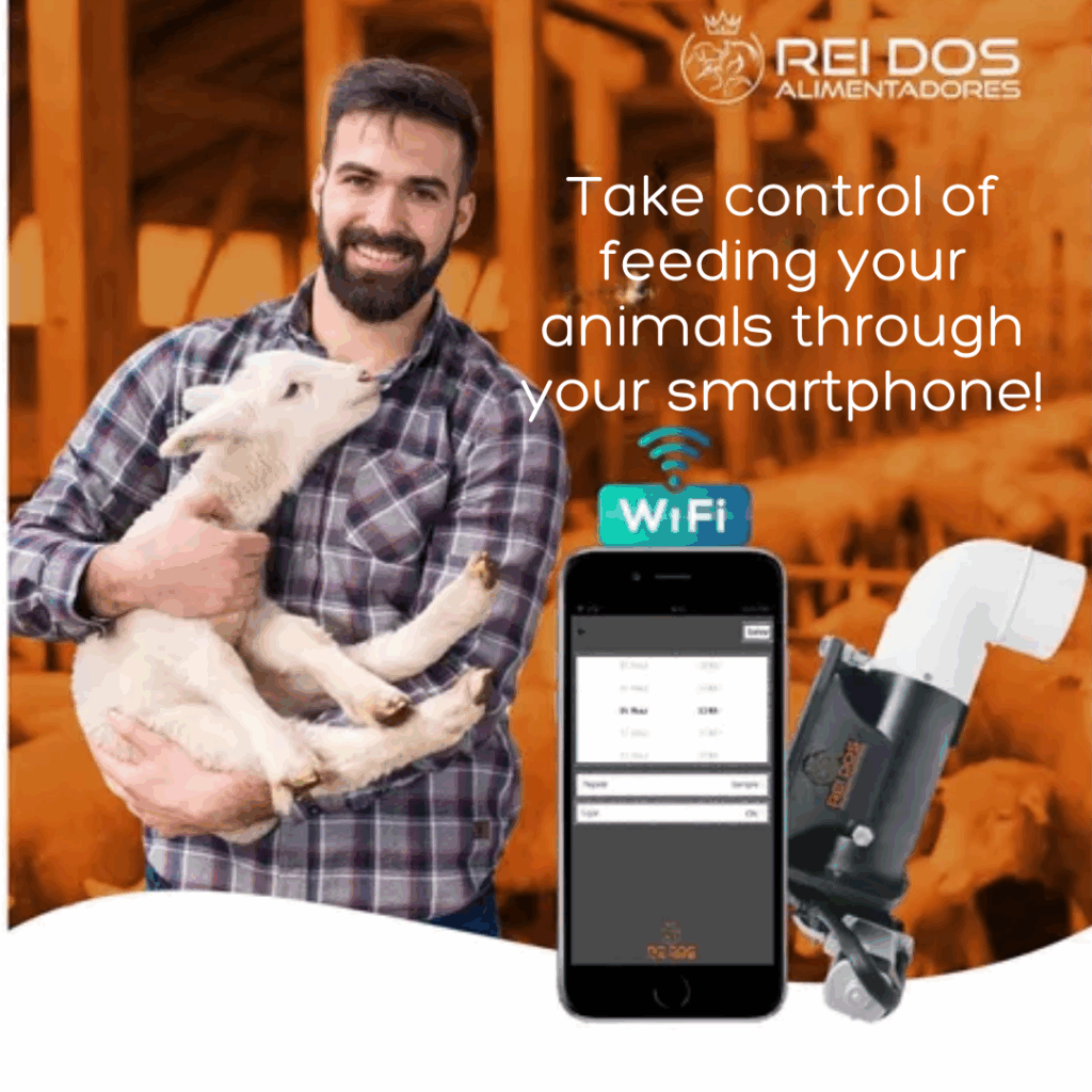 Featured image for the remote dog feeder guide