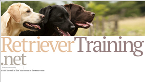 Retriever Training - Krystal Trough