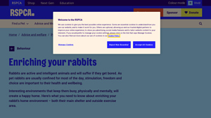 RSPCA - Rabbit Enrichment Essentials