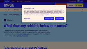 RSPCA - Happy Rabbit Animation