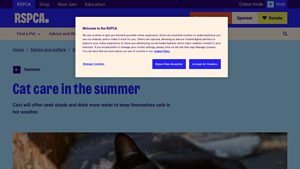 RSPCA - Pet-Safe Summer Essentials