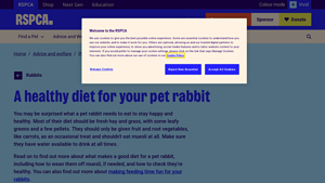 RSPCA - Healthy Rabbit Diet Guide