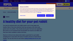RSPCA - Healthy Diet for Pet Rabbits