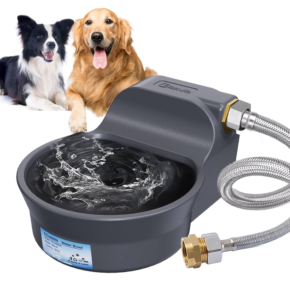 Featured image for the running water bowl for dogs guide