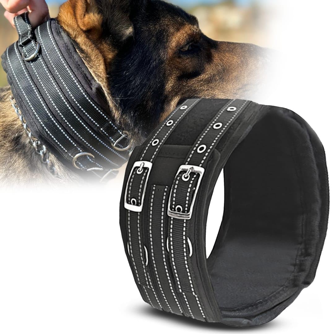 An application scenario or product detail of safest collar for dogs - Image 3